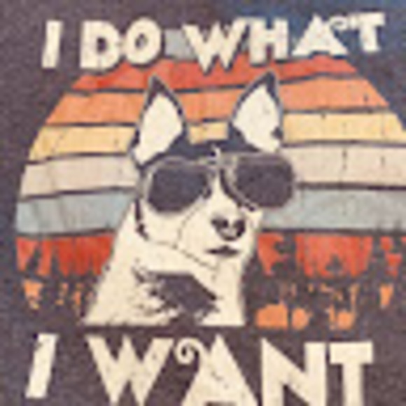 Meet your Posher, Gj - Picture 1 of 1